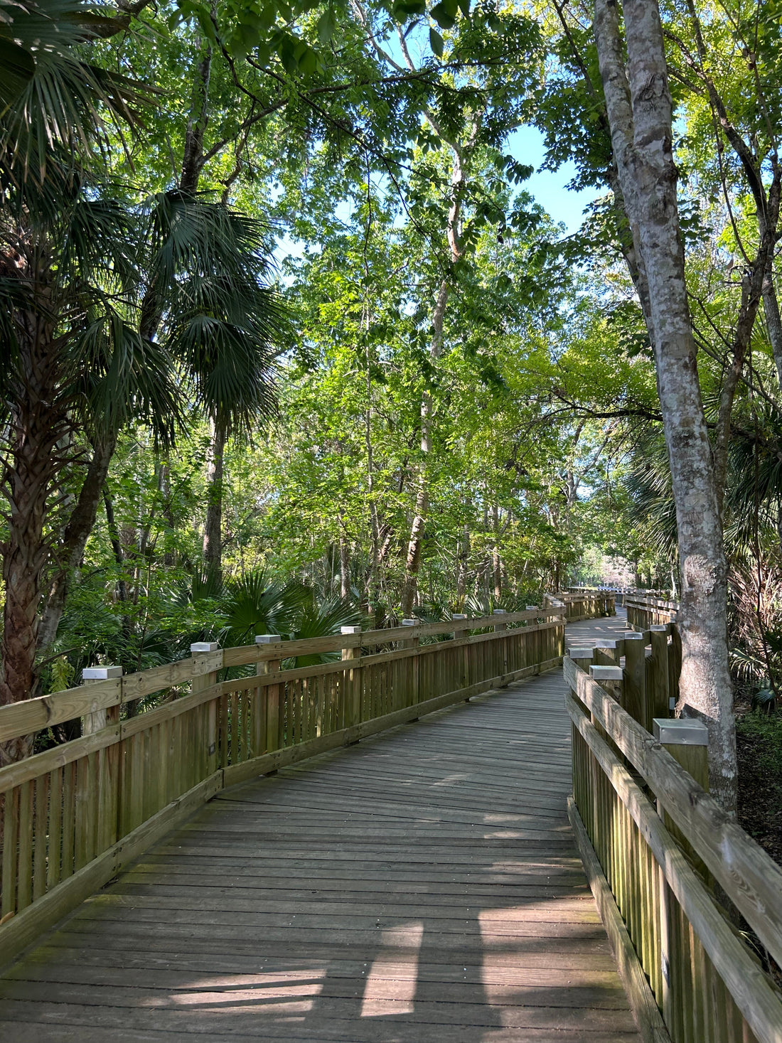 Ben ik hoogsensitief? Doe de zelftest + 5 tips.