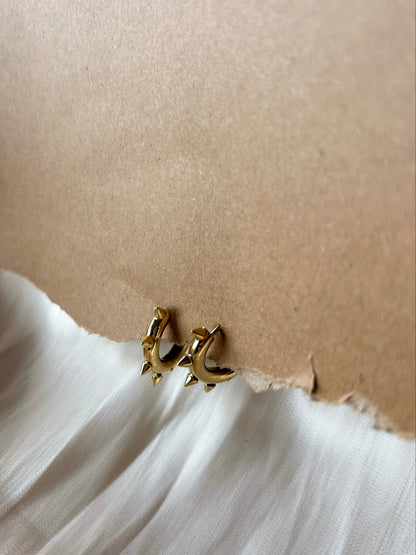 Oorbellen goudkleurig stainless steel -studs