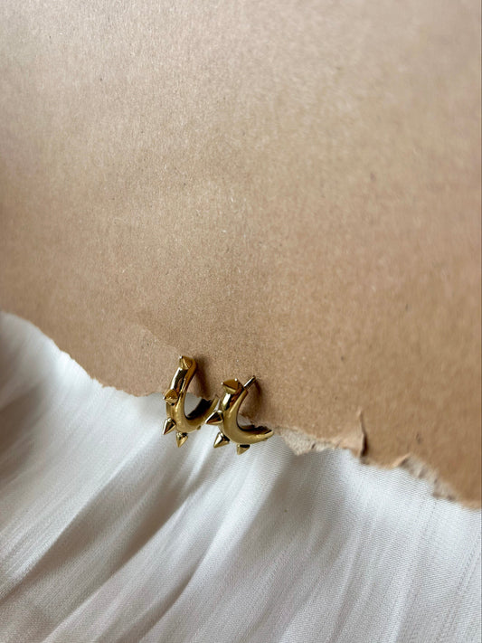 Oorbellen goudkleurig stainless steel -studs