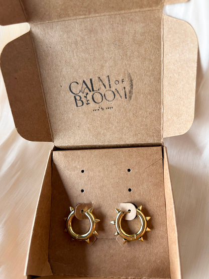 Oorbellen goudkleurig stainless steel -studs